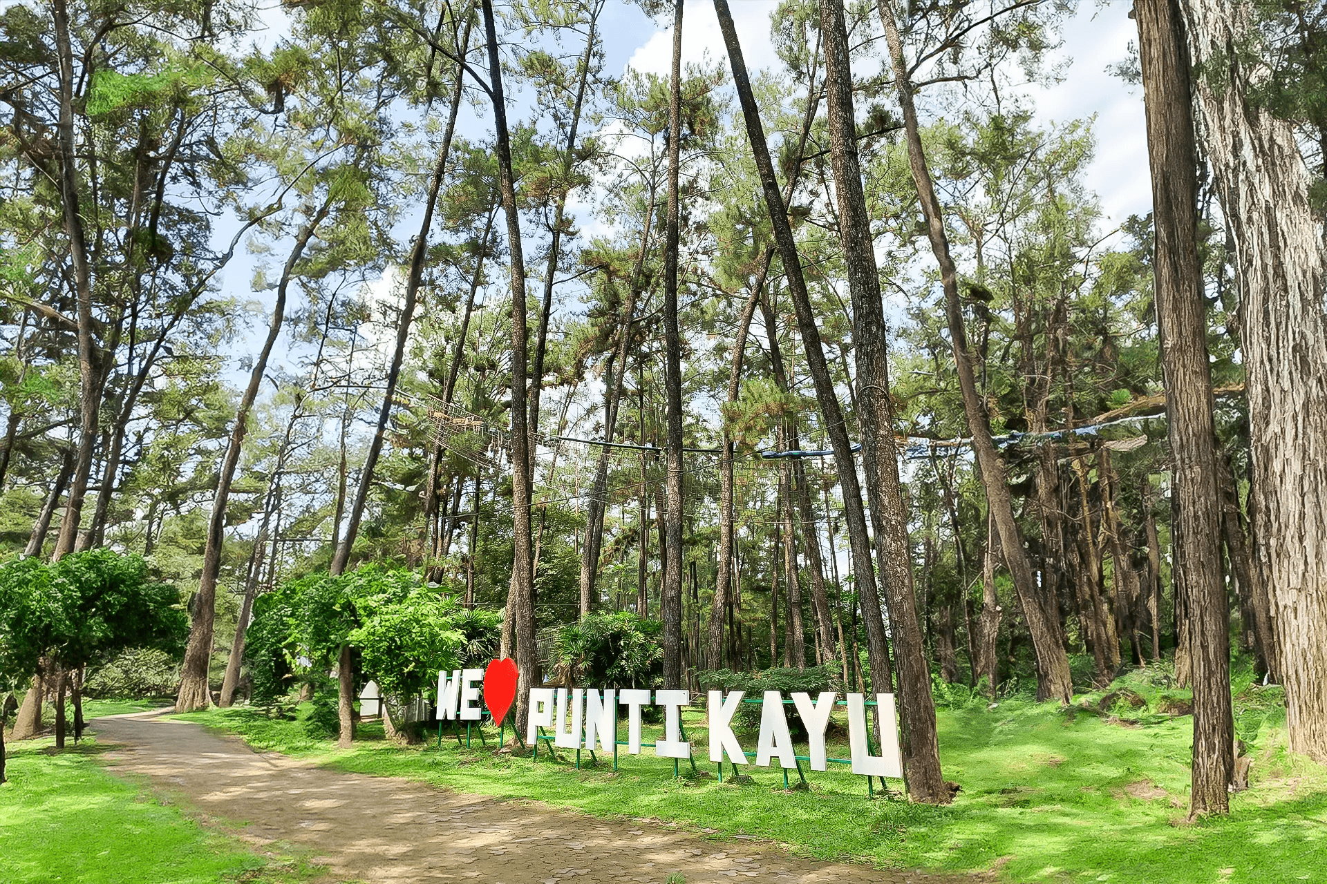 Punti Kayu: Oase Konservasi dan Rekreasi di Jantung Palembang